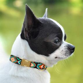 img 2 attached to 🐾 CollarDirect Tribal Aztec Pattern Dog Collar for Small Medium Large Dogs or Puppies, Quick Release Buckle, Adjustable Soft Nylon, Cute Unique Design