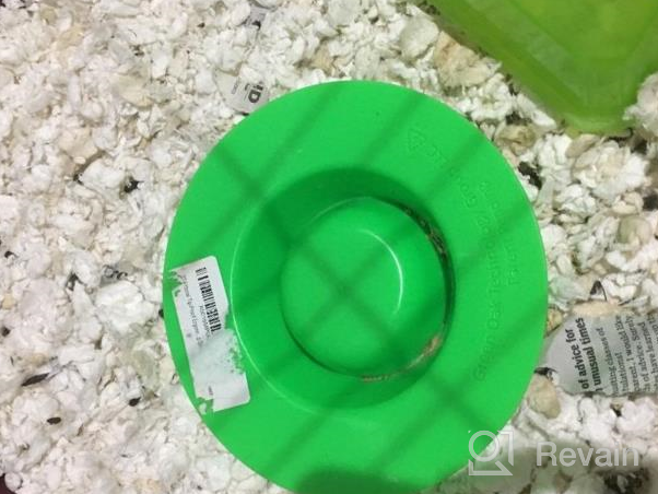 img 1 attached to Never Spill A Drop With STAYbowl'S Tip-Proof Ergonomic Pet Bowl For Small Pets - 1/4 Cup Spring Green Size review by Hope Tribolet