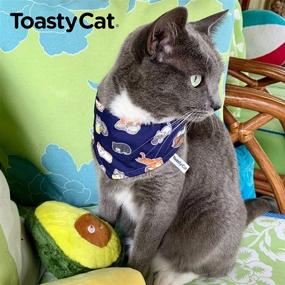 img 2 attached to 🐱 ToastyCat 2-Piece Matching Adult & Cat Bandana Set - Adjustable, Safe Breakaway Kitten Collar - Cute Navy Autumn Style Cat Design - Suitable for Small to Medium Sizes