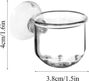 img 2 attached to 🌿 Enhance Your Aquarium with a 4 Pack Crystal Glass Plant Pot - Perfect for Red Shrimp, Live Plants, and Fish Tank Decor