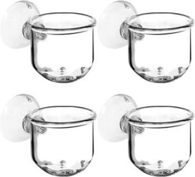 img 3 attached to 🌿 Enhance Your Aquarium with a 4 Pack Crystal Glass Plant Pot - Perfect for Red Shrimp, Live Plants, and Fish Tank Decor