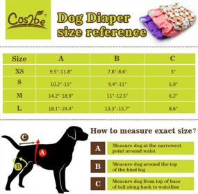 img 1 attached to Cos2Be Female Dogs Diapers Washable Reusable Wraps,Soft & Comfortable Diapers For Small To Middle Dog-Pack Of 3(XS)