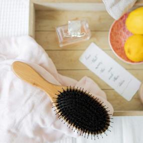 img 2 attached to Belula Boar Bristle Hair Brush: Detangle & Style Any Type Of Hair!