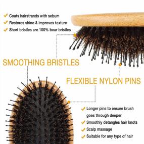 img 3 attached to Belula Boar Bristle Hair Brush: Detangle & Style Any Type Of Hair!