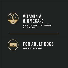 img 1 attached to 🐶 Purina Pro Plan High Protein, Digestive Health Large Breed Dry Dog Food - 34 lb. Bag: Chicken and Rice Formula for Optimal Nutrition