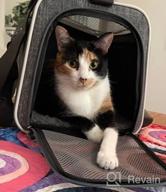 img 1 attached to Fantasy Pink M Pet Carrier Bag - Soft & Cute For Cats & Puppies Traveling! review by Mardrequs Dorsey
