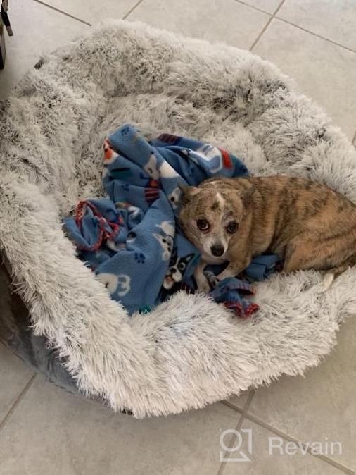 img 1 attached to Grey Anti-Anxiety Donut Dog Bed For Small Medium Dogs - Calming Pet Cuddler Bed With Soft Plush Faux Fur, Machine Washable And Anti-Slip Bottom By JOEJOY review by Brandon Frogge