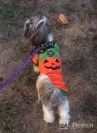 img 1 attached to Orange Pumpkin Pet Costume T-Shirt For Small Dogs And Cats - Perfect For Halloween (Medium Size: 5.5Lb-8.8Lb) review by Shah Nelson