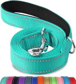 img 4 attached to Reflective Dog Leash With Padded Handle - Joytale Double-Sided Nylon Training Lead For Medium & Large Dogs, Teal, Available In 4FT/5FT/6FT Lengths
