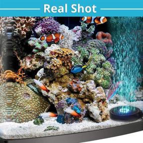 img 1 attached to 🐠 Aliyeah LED Fish Tank Air Bubbler Light with 6 Auto Color Changing Aquarium Bubbling Stone Disk (4 Inches Diameter)