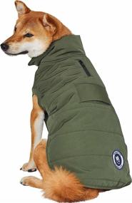 img 3 attached to Blueberry Pet Windproof Waterproof Quilted Dogs via Apparel & Accessories