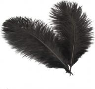 sowder 6-8inch(15-20cm) ostrich feathers plume for wedding centerpieces home decoration pack of 10pcs (black) логотип