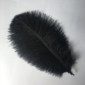 img 1 attached to Sowder 6-8Inch(15-20Cm) Ostrich Feathers Plume For Wedding Centerpieces Home Decoration Pack Of 10Pcs (Black)