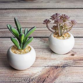 img 2 attached to Bring Home The Beauty Of Lvydec'S Mini-Sized Artificial Succulent Plants In Porcelain Pots - Perfect For Home, Bath, Or Office Decor!