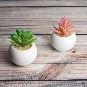 img 3 attached to Bring Home The Beauty Of Lvydec'S Mini-Sized Artificial Succulent Plants In Porcelain Pots - Perfect For Home, Bath, Or Office Decor!