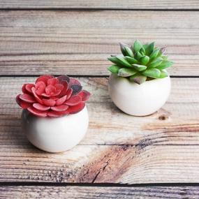 img 1 attached to Bring Home The Beauty Of Lvydec'S Mini-Sized Artificial Succulent Plants In Porcelain Pots - Perfect For Home, Bath, Or Office Decor!