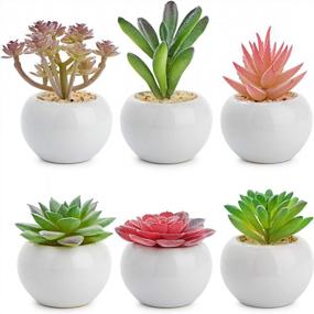 img 4 attached to Bring Home The Beauty Of Lvydec'S Mini-Sized Artificial Succulent Plants In Porcelain Pots - Perfect For Home, Bath, Or Office Decor!