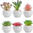 bring home the beauty of lvydec's mini-sized artificial succulent plants in porcelain pots - perfect for home, bath, or office decor! logo