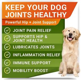 img 2 attached to Hemp + Glucosamine Dog Joint Supplement + Allergy Relief Treats W/ Omega 3 Bundle - Hip & Joint Care + Itchy Skin Relief - Chondroitin, MSM + Pumpkin + Enzymes + Turmeric - 240 Chews - Made In USA