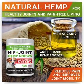 img 3 attached to Hemp + Glucosamine Dog Joint Supplement + Allergy Relief Treats W/ Omega 3 Bundle - Hip & Joint Care + Itchy Skin Relief - Chondroitin, MSM + Pumpkin + Enzymes + Turmeric - 240 Chews - Made In USA
