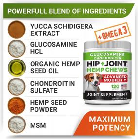 img 1 attached to Hemp + Glucosamine Dog Joint Supplement + Allergy Relief Treats W/ Omega 3 Bundle - Hip & Joint Care + Itchy Skin Relief - Chondroitin, MSM + Pumpkin + Enzymes + Turmeric - 240 Chews - Made In USA