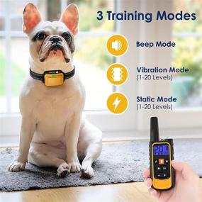 img 3 attached to Rechargeable Dog Training Collar - PETNANNY Shock Collar with Remote, 2600Ft Control Range for Large Medium Dogs 15 - 100lbs, Beep Vibration Shock Modes Included