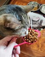 img 1 attached to Enhanced Formula Purina Pro Plan Cat Food review by Celina Pietrzak ᠌