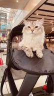 img 2 attached to Convenient and Comfortable PETKIT Pet Backpack Carrier for Cats review by Czeslawa Gorska ᠌