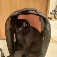 img 1 attached to Convenient and Comfortable PETKIT Pet Backpack Carrier for Cats review by Celina Kowalewska ᠌