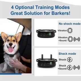 img 3 attached to Rechargeable Adjustable Sensitivity Intensity Vibration Dogs : Training & Behavior Aids