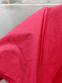img 8 attached to Women's folding umbrella Lantana umbrella automatic 766N/pink