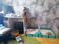 img 2 attached to Cage for rodents Midwest Guinea Habitat Plus 120x60x36 cm 120 cm 60 cm 36 cm green review by Agata Cicho ᠌