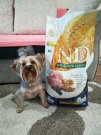 img 1 attached to Dry dog ​​food Farmina N&D Ancestral Grain, lamb, with blueberries 1 pack. x 1 pc. x 7 kg (for small breeds) review by Boyan Mitov ᠌