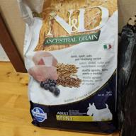 img 1 attached to Dry dog ​​food Farmina N&D Ancestral Grain, lamb, with blueberries 1 pack. x 1 pc. x 7 kg (for small breeds) review by Michal Michal ᠌