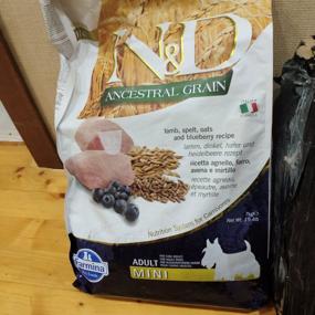 img 8 attached to Dry dog ​​food Farmina N&D Ancestral Grain, lamb, with blueberries 1 pack. x 1 pc. x 7 kg (for small breeds)
