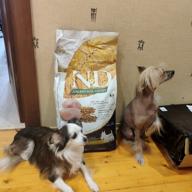 img 2 attached to Dry dog ​​food Farmina N&D Ancestral Grain, lamb, with blueberries 1 pack. x 1 pc. x 7 kg (for small breeds) review by Michal Michal ᠌