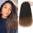 14 inch passion twist hair 8 packs water wave crochet braids bohemian ombre blonde 1b/27 extensions logo