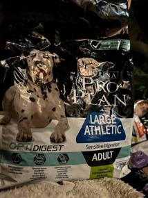 img 7 attached to Dry food for athletic dogs Pro Plan with sensitive digestion, lamb 1 pack. x 2 pcs. x 3 kg (for large breeds)