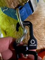 img 3 attached to Dog lead COLLAR Evolutor 1.2 m 25 mm orange review by Wiktor Krel ᠌