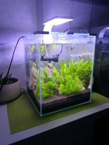 img 10 attached to Aquarium Aquael Shrimp Set SMART LED 19L