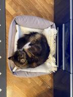 img 1 attached to Bed for dogs and cats Scruffs Thermal Box Bed 60x50 cm 60 cm 50 cm black review by Barbara Teterycz ᠌
