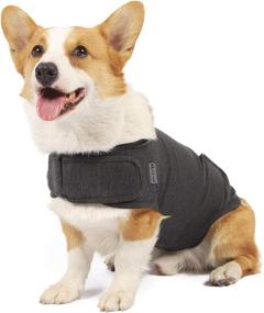 img 4 attached to 🐶 Apetian Anxiety Vest for Dogs: Calming Thunder Jacket, Compression Vest, Calming Wrap (A1-Dark Grey, Medium)