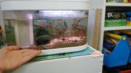 img 1 attached to Aquarium set 1.5 L Xiaomi Descriptive Geometry C300 Mini Fish Tank green review by Dorota Grobla ᠌