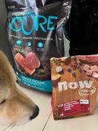 img 3 attached to Dry dog ​​food Wellness Core, grain-free, with sensitive digestion, lamb with apple 1 pack. x 1 pc. x 10 kg review by Kiril Terziyski ᠌