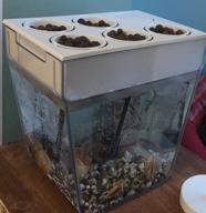 img 1 attached to Freshwater 11 l Back to the Roots Aqua Farm white review by Jana Lednick ᠌