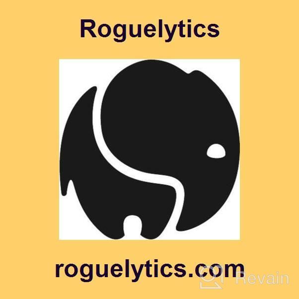 img 1 attached to Roguelytics review by Raji Bentz