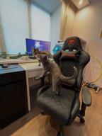 img 2 attached to Gaming chair COUGAR Armor ONE, upholstery: imitation leather, color: black-orange review by Bogdan Mironow ᠌