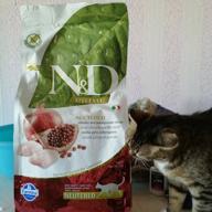 img 1 attached to Grain-Free Farmina Natural And Delicious Chicken and Pomegranate Formula Dry Cat Food - 3.3 lb Bag review by Kiril Lakyurski ᠌