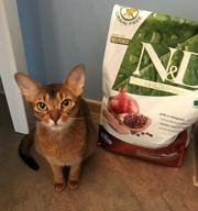 img 1 attached to Grain-Free Farmina Natural And Delicious Chicken and Pomegranate Formula Dry Cat Food - 3.3 lb Bag review by Wiktor Wasilewski ᠌