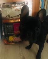 img 2 attached to Dry food for puppies Primordial grain-free, chicken, fish 1 pack. x 1 pc. x 2 kg review by Aneta Pa ᠌